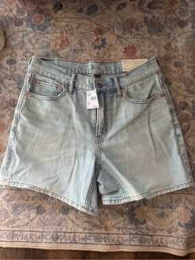 American Eagle Outfitters Light Blue Denim Jean Shorts